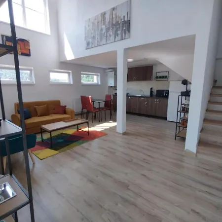 Apartment Alyosha *