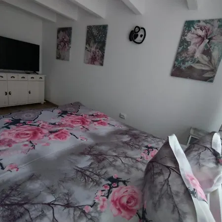 Apartment Alyosha Sighisoara